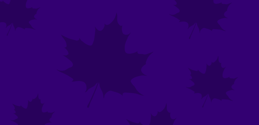 Purple leaves on a purple background Purple leaves on a purple background