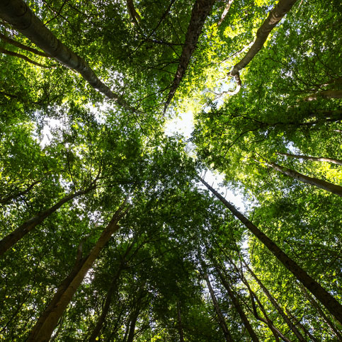Canadians more likely to engage with nature if prescribed by a doctor